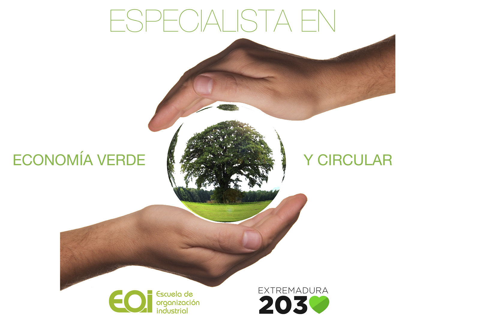 especialista