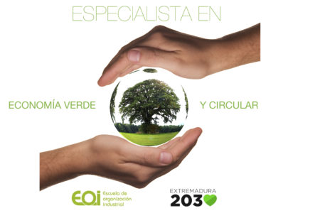 especialista